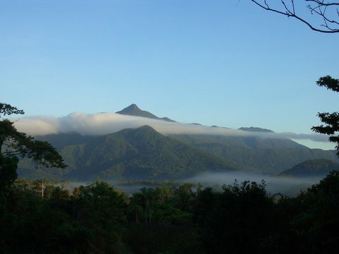 Epiphyte B & B - Accommodation Daintree 0