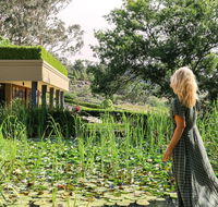 Escala Luxury Suites - Accommodation Daintree