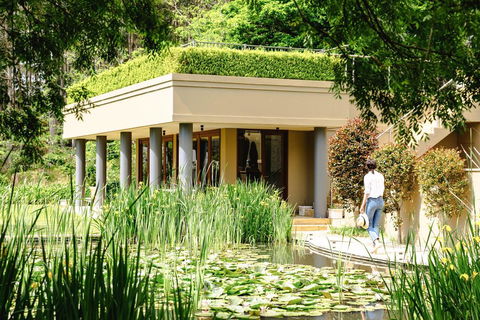 Escala Luxury Suites - Accommodation Daintree 2