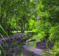 Esk Caravan Park  Rail Trail Motel - Accommodation Daintree