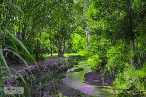 Esk Caravan Park & Rail Trail Motel - Accommodation Daintree 0