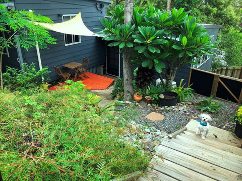 Eumundi Cottage In Town - Accommodation Daintree 2