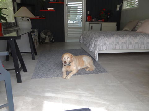 Eumundi Yacht Club B&B - Accommodation Daintree 1