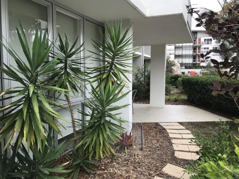 Euodia Unit 1102 - Accommodation Daintree 0