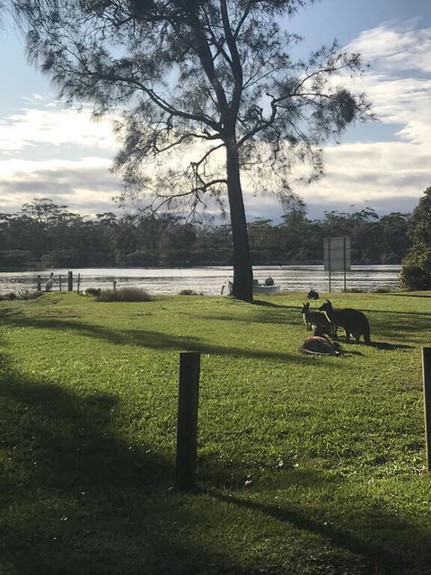 FAIRVIEW 25A - Waterfront Home - Accommodation Daintree 3