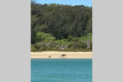 FAIRVIEW COTTAGE 25B - Waterfront Accommodation - Accommodation Daintree 0