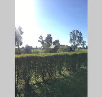 Farm House at the Gateway to the King Valley - Accommodation Daintree