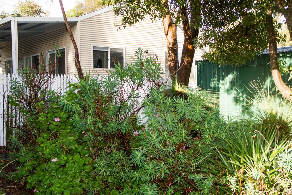 Pickering Brook WA Accommodation Daintree