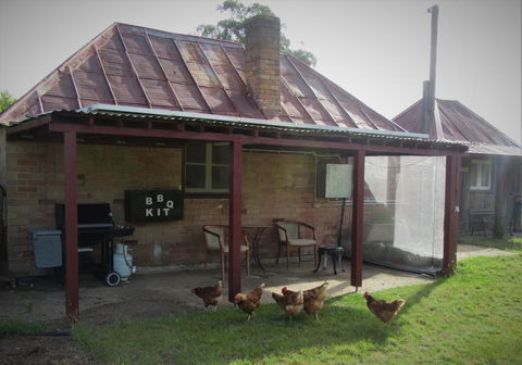Fernbrook Cottage - Accommodation Daintree 0