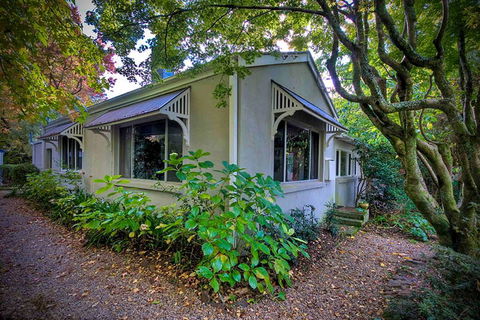 Finchley - Accommodation Daintree 0