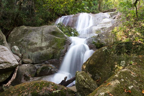 Fishery Falls Holiday Park - Accommodation Daintree 3