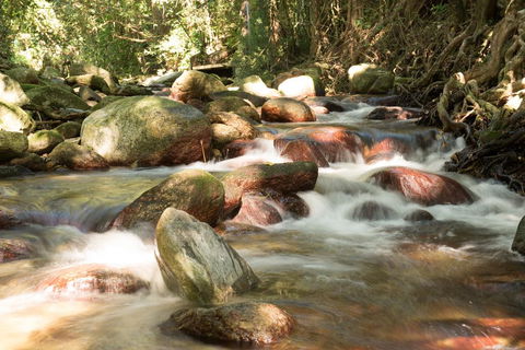 Fishery Falls Holiday Park - Accommodation Daintree 1