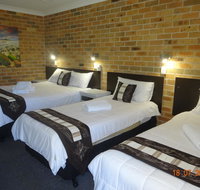 Forster Palms Motel - Accommodation Daintree