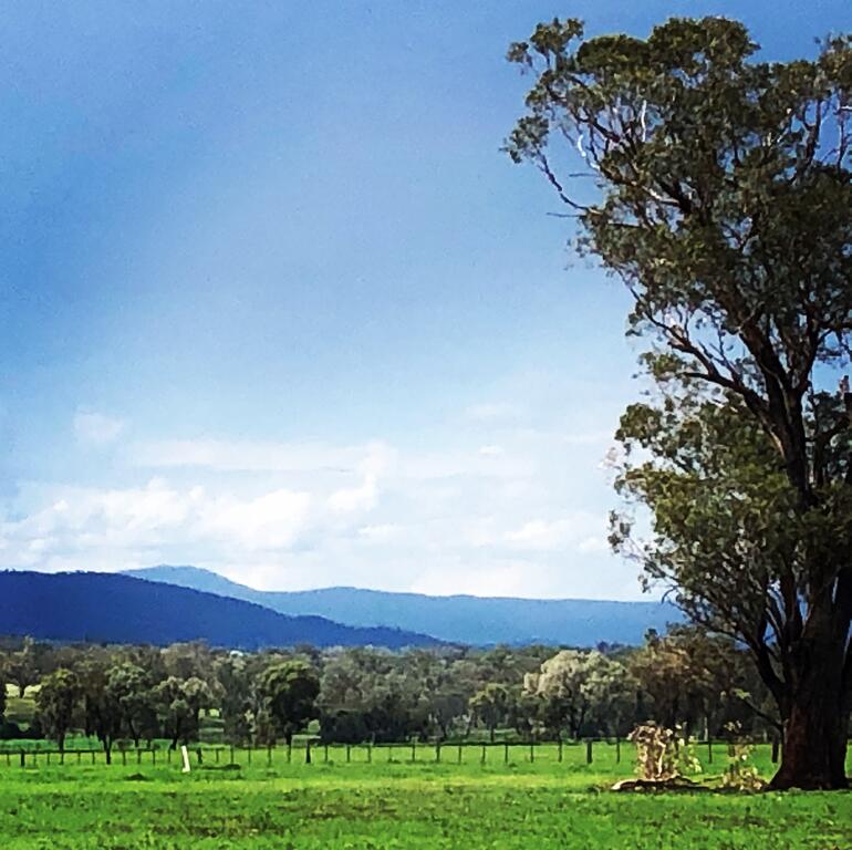 Timbumburi NSW Accommodation Daintree