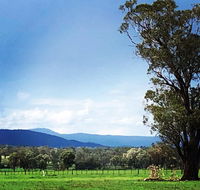 Fourjay Farmstay - Accommodation Daintree