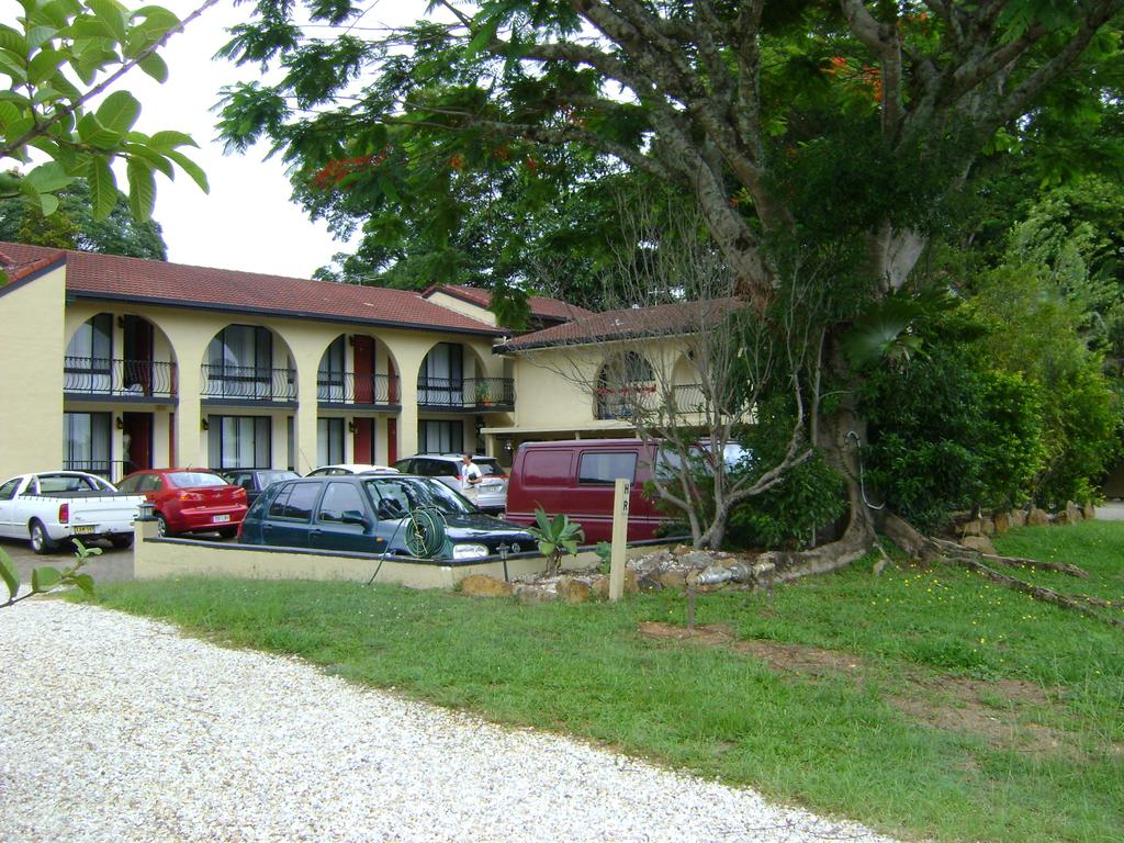 Murwillumbah NSW Accommodation Daintree