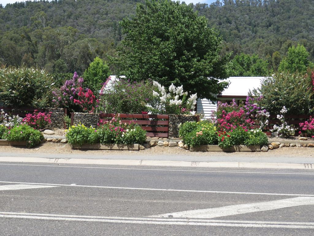 Bright VIC Accommodation Daintree
