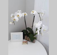 Gawler Heritage Accommodation - Accommodation Daintree