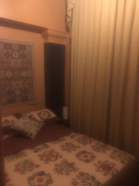 Globe Guesthouse - Accommodation Daintree 2
