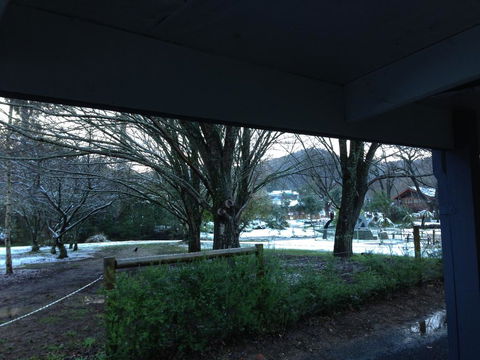 Goldberryaccommodation - Accommodation Daintree 3