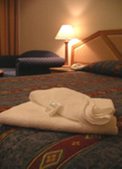 Goulburn Central Motor Lodge - Accommodation Daintree 3