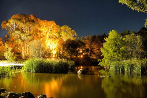 Granite Gardens Cottages & Lake Retreat - Accommodation Daintree 3