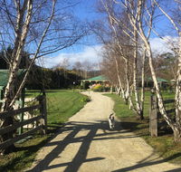 Green Gables BB - Accommodation Daintree