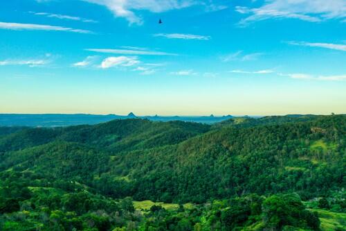  Accommodation Daintree
