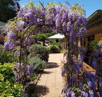 Gumtree House Montville - Accommodation Daintree