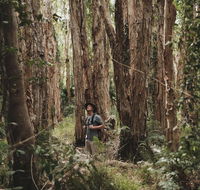 Habitat Noosa - Accommodation Daintree