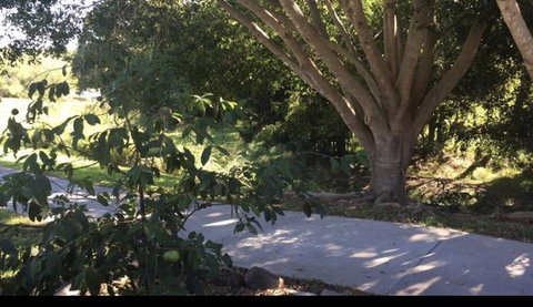Handford Gardens - Accommodation Daintree 2