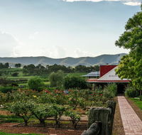 Hanging Tree Wines - Accommodation Daintree