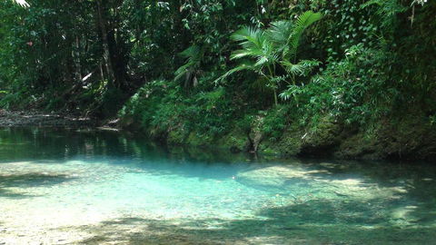 Heritage Lodge - Accommodation Daintree 2