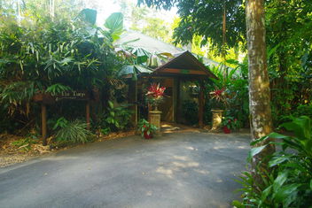 Heritage Lodge with Accommodation Daintree