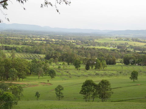 Hill Top Villas - Accommodation Daintree 0