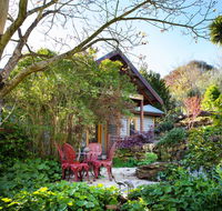 Hills End Camellia - Accommodation Daintree