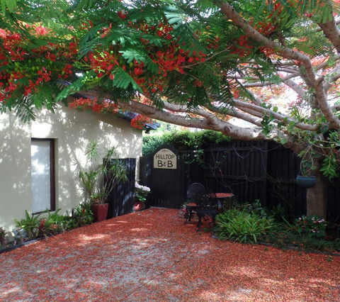 Hilltop B&B - Accommodation Daintree 2