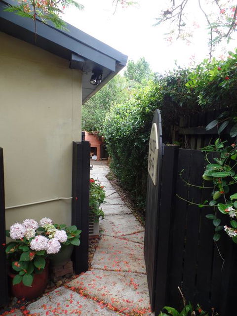Hilltop B&B - Accommodation Daintree 3