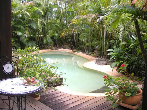 Hilltop B&B - Accommodation Daintree 0