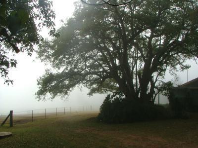 Hillview Cottages - Accommodation Daintree 3