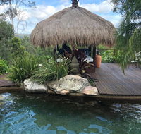 Hinterland Hideaway - Accommodation Daintree