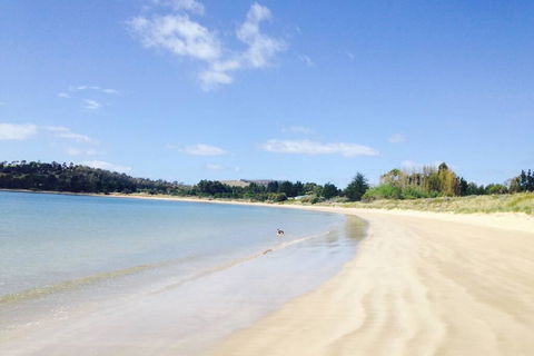 Hobart Beach Front Cottage - Accommodation Daintree 0