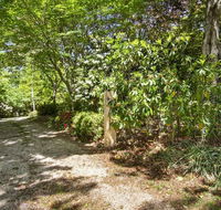Jalscene - Accommodation Daintree