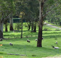 JAN'S ART STUDIO AT ASHBY RISE - Accommodation Daintree