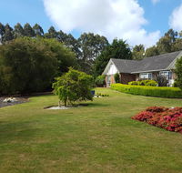 Jarrah - Accommodation Daintree