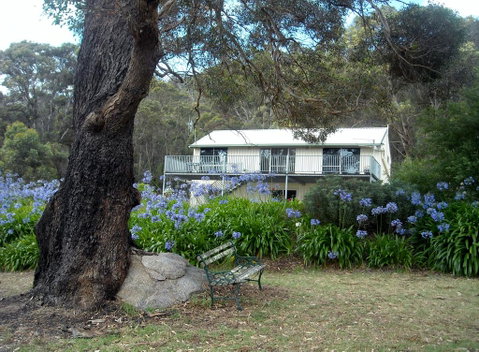 Jilba - Accommodation Daintree 2