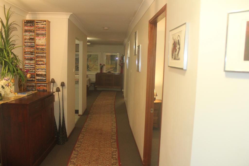 New Lambton Heights NSW Accommodation Daintree