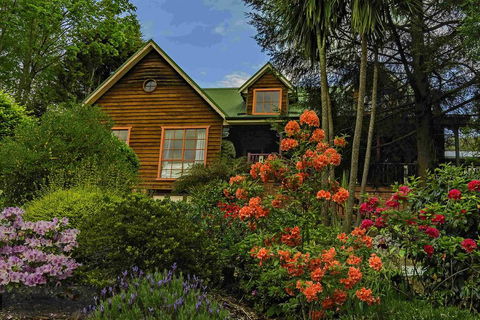 Kalimna - Garden Room - Accommodation Daintree 0