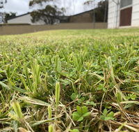 Karoonda Accommodation - Accommodation Daintree