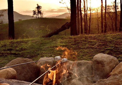 Ketchup's Bank Glamping - Accommodation Daintree 2